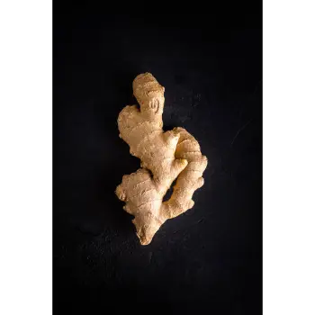 ginger (19)-5693029-12700.webp